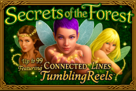 Secrets of the Forest Secrets of the Forest